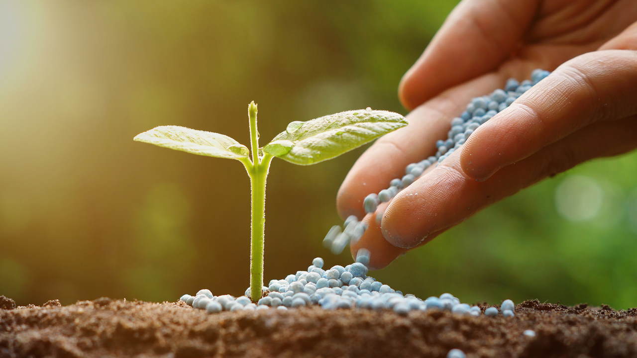 محصولات بیولوژیک، گنجینه‌ای از موجودات زنده